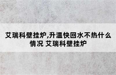 艾瑞科壁挂炉,升温快回水不热什么情况 艾瑞科壁挂炉